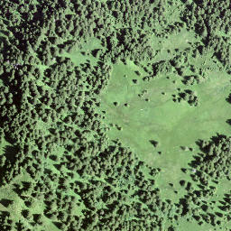 Satellite imagery of Schwarzenstock, CH