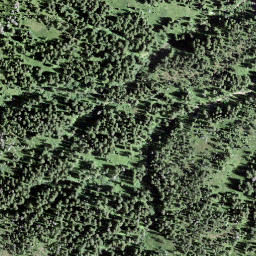 Satellite imagery of Loseggen, CH