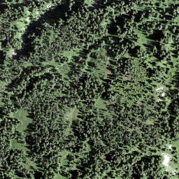 Satellite imagery of Loseggen, CH