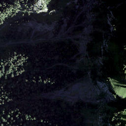 Satellite imagery of Totenplangg, CH