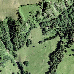 Satellite imagery of Schartliegg, CH