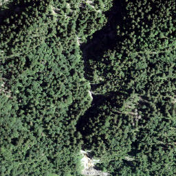 Satellite imagery of Sulzberg, CH