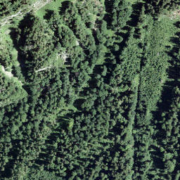 Satellite imagery of Sulzboden, CH