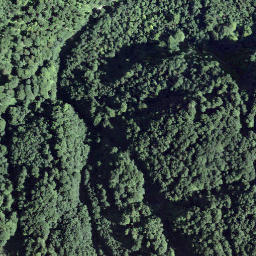 Satellite imagery of Gleiterhorn, CH