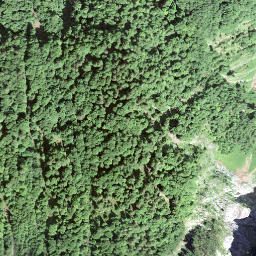 Satellite imagery of Forenstogg, CH