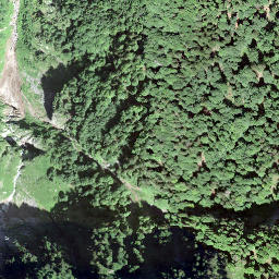 Satellite imagery of Forenstogg, CH
