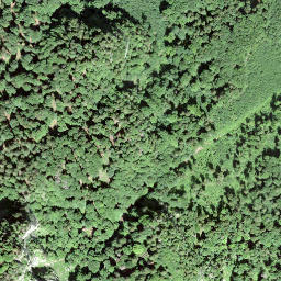 Satellite imagery of Forenstogg, CH