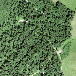 Satellite imagery of Rundchopf, CH