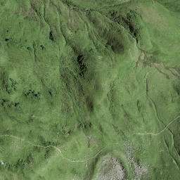 Satellite imagery of Girenspitz, CH
