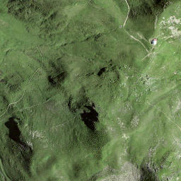 Satellite imagery of Girenspitz, CH