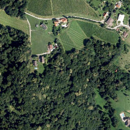 Satellite imagery of Buchkogel, AT