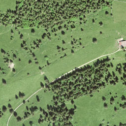 Satellite imagery of Le Signal, CH
