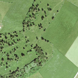 Satellite imagery of Le Signal, CH