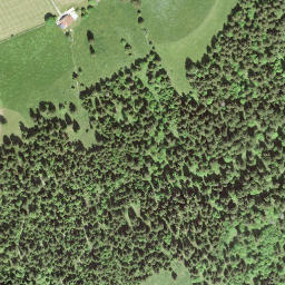 Satellite imagery of Grand Sommartel, CH