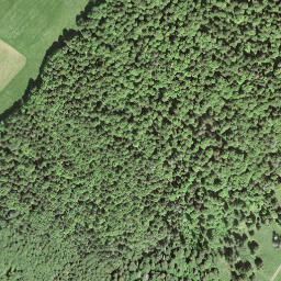 Satellite imagery of Mont Racine, CH
