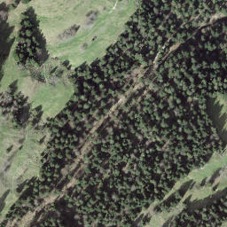 Satellite imagery of Rindergrat, CH