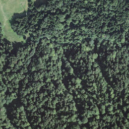 Satellite imagery of Schwandenegg, CH