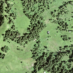 Satellite imagery of Müsliegg, CH