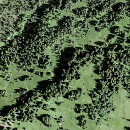 Satellite imagery of Loseggen, CH