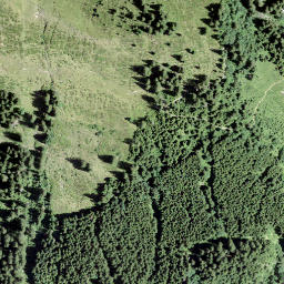 Satellite imagery of Brüschbüchel, CH