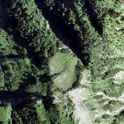 Satellite imagery of Forenstogg, CH