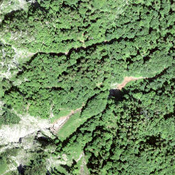 Satellite imagery of Forenstogg, CH