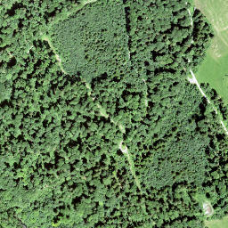 Satellite imagery of Rundchopf, CH