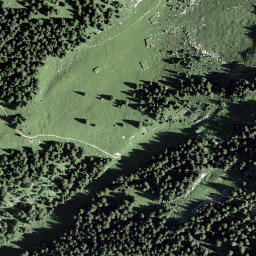 Satellite imagery of Föhrenegg, CH
