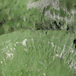 Satellite imagery of Girenspitz, CH