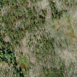 Satellite imagery of Copper Ridge, US