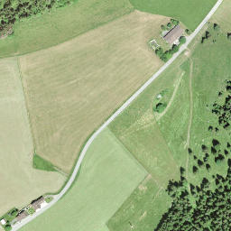Satellite imagery of Le Signal, CH