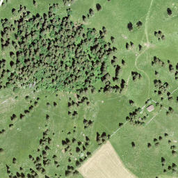 Satellite imagery of Grand Sommartel, CH