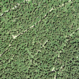 Satellite imagery of Crêt de Courti, CH
