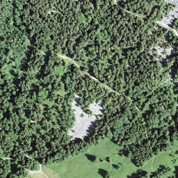 Satellite imagery of Geissstock, CH