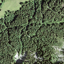 Satellite imagery of Rotenflue, CH