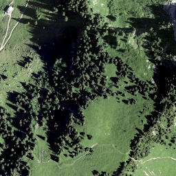 Satellite imagery of Mooseggen, CH