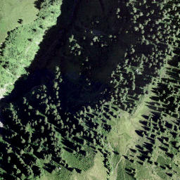 Satellite imagery of Lüsgütsch, CH