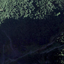 Satellite imagery of Wiggisegg, CH