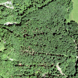Satellite imagery of Rundchopf, CH