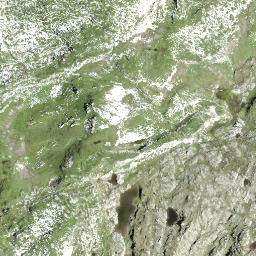 Satellite imagery of Höch, CH