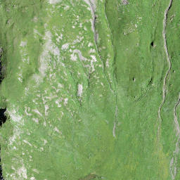 Satellite imagery of Rottor, CH