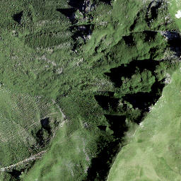 Satellite imagery of Rundchopf, CH