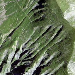 Satellite imagery of Girenspitz, CH