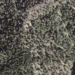 Satellite imagery of Wolfgrat, CH