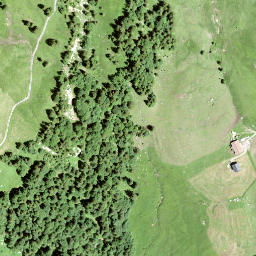 Satellite imagery of Müsliegg, CH