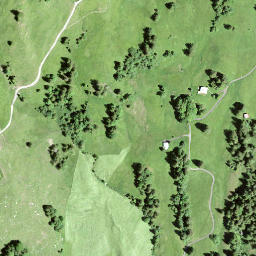Satellite imagery of Müsliegg, CH