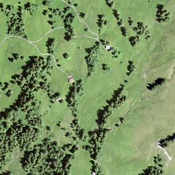 Satellite imagery of Müsliegg, CH