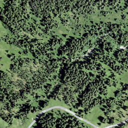 Satellite imagery of Gross Schijen, CH