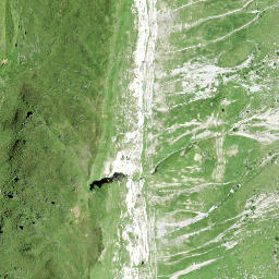 Satellite imagery of Lüsgütsch, CH