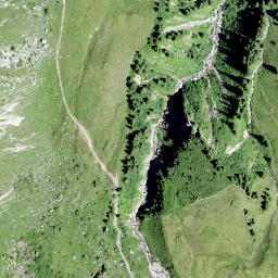 Satellite imagery of Lüsgütsch, CH